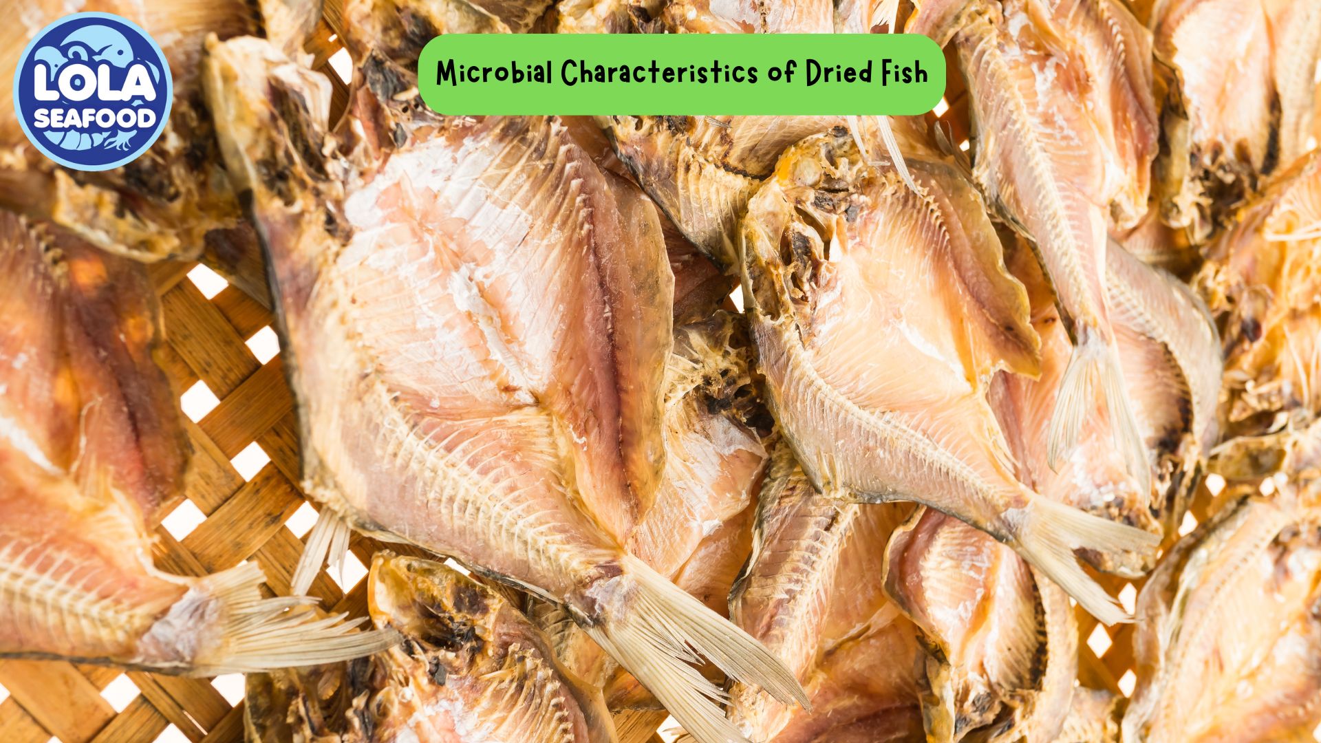 Microbial Characteristics of Dried Fish